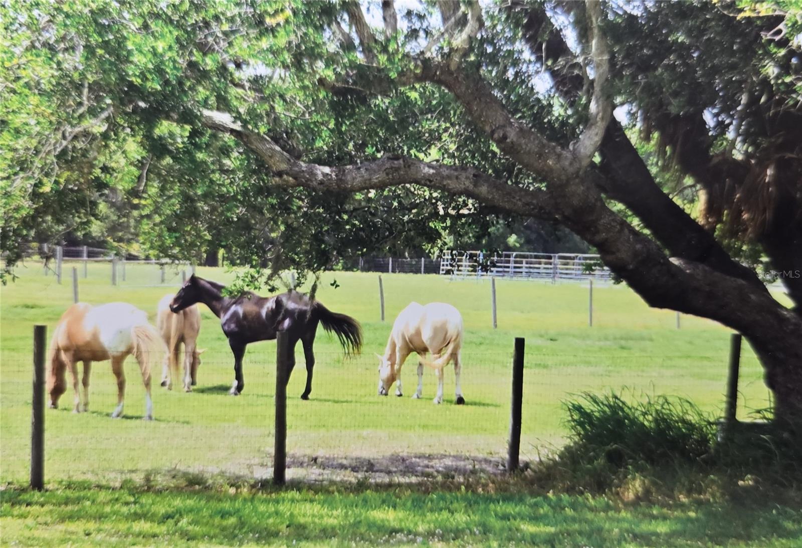 Image 51 of 66 For 7662 Liverpool Road