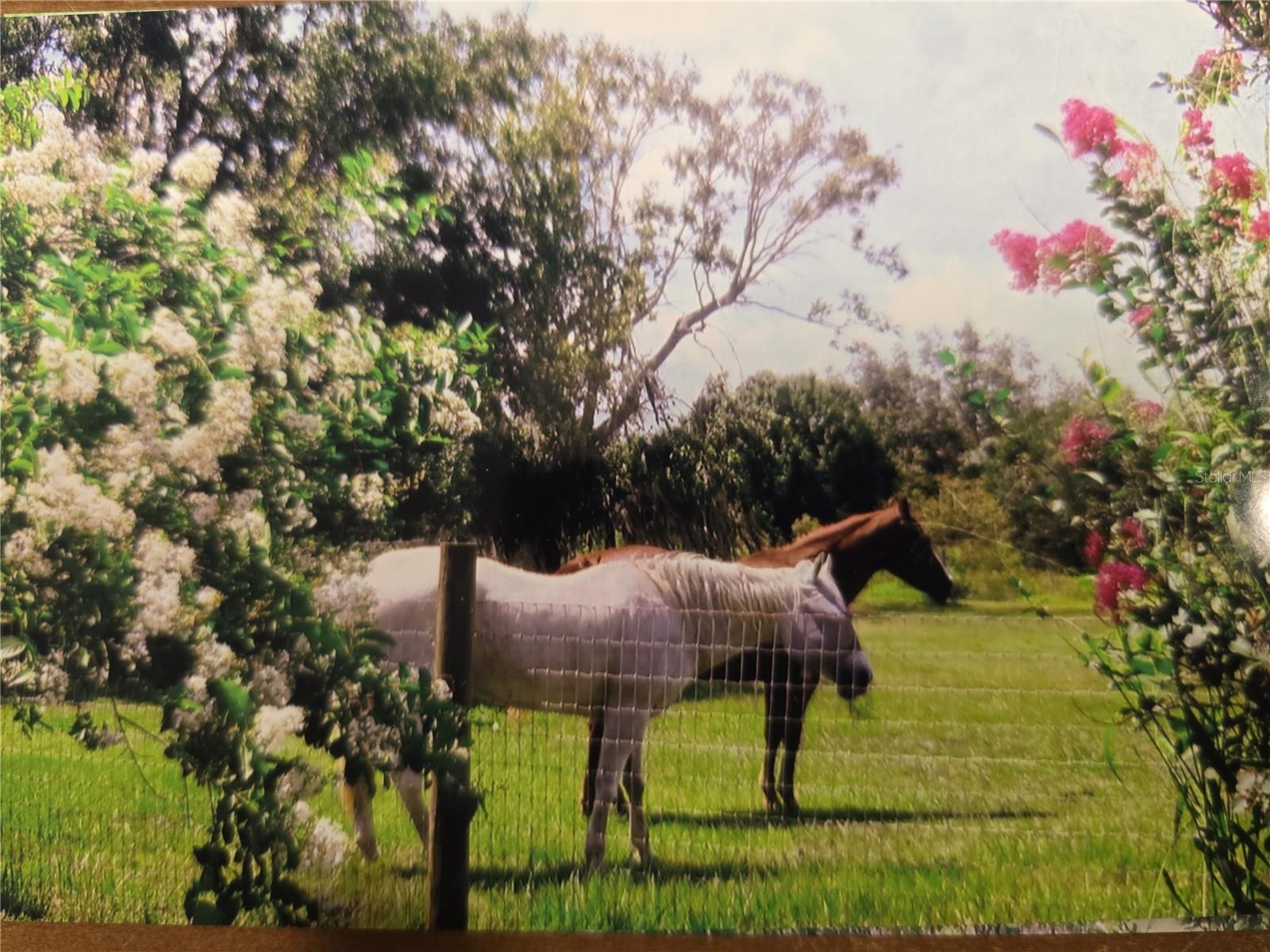 Image 52 of 66 For 7662 Liverpool Road