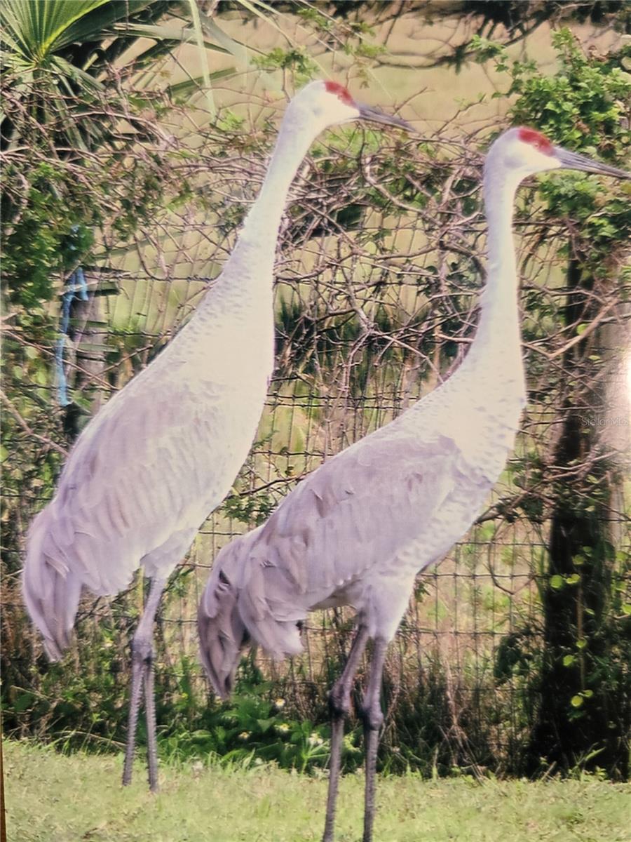 Image 53 of 66 For 7662 Liverpool Road