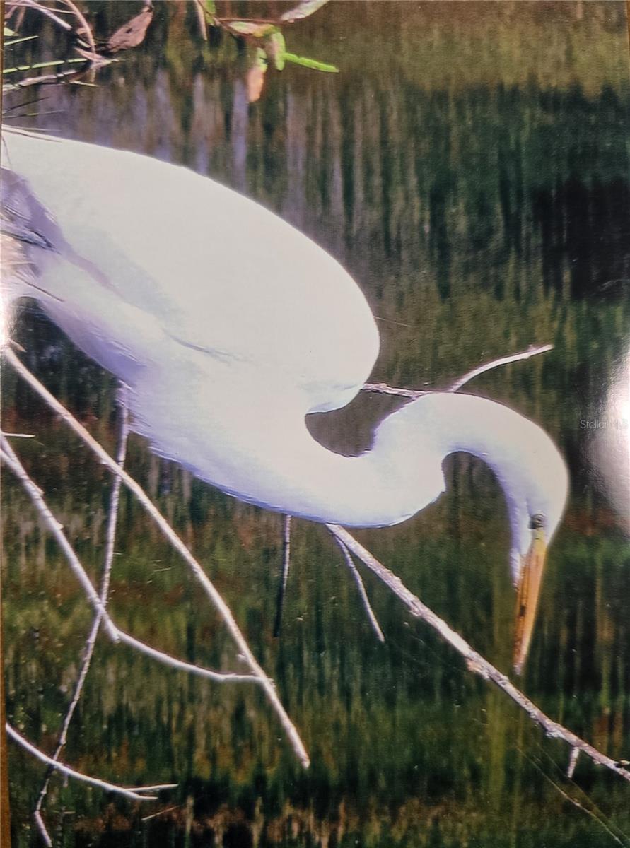 Image 54 of 66 For 7662 Liverpool Road