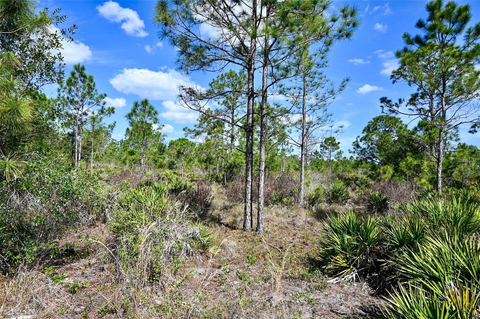 Image 16 of 31 For 47200 Bermont Road