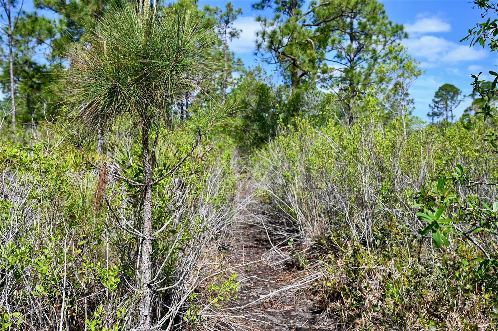 Image 17 of 31 For 47200 Bermont Road