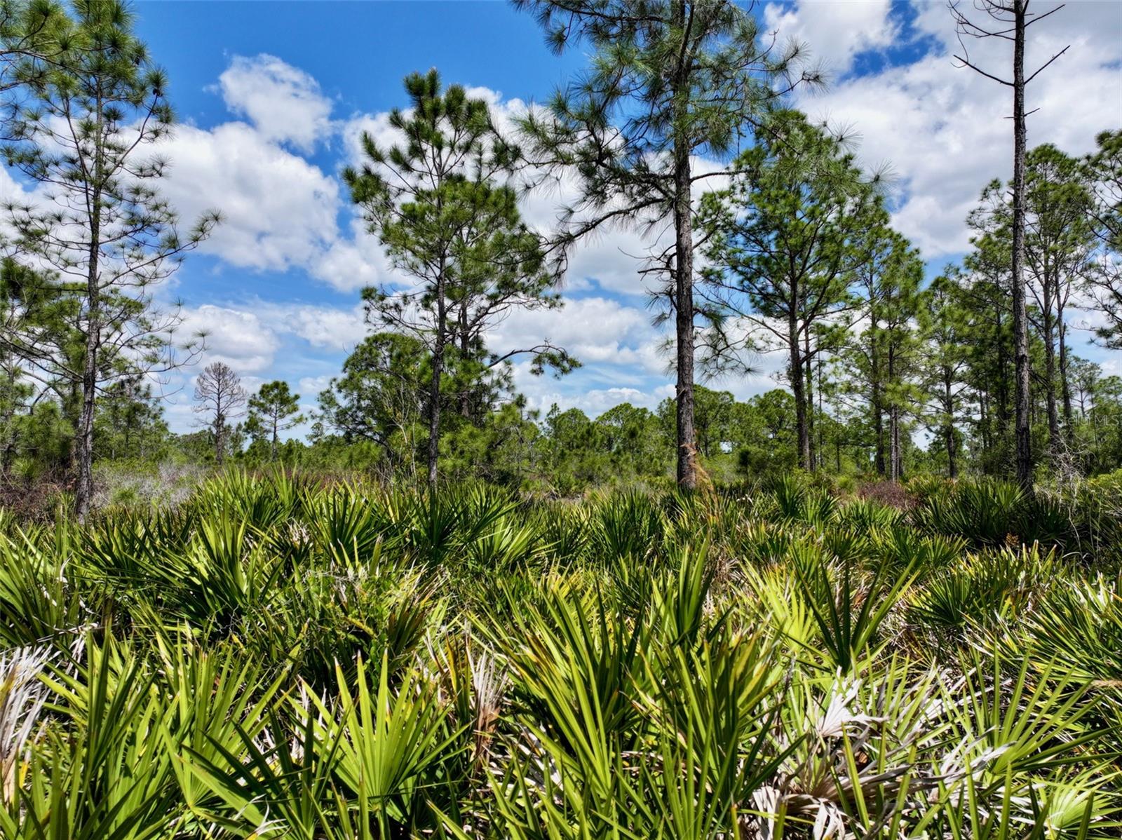 Image 19 of 31 For 47200 Bermont Road