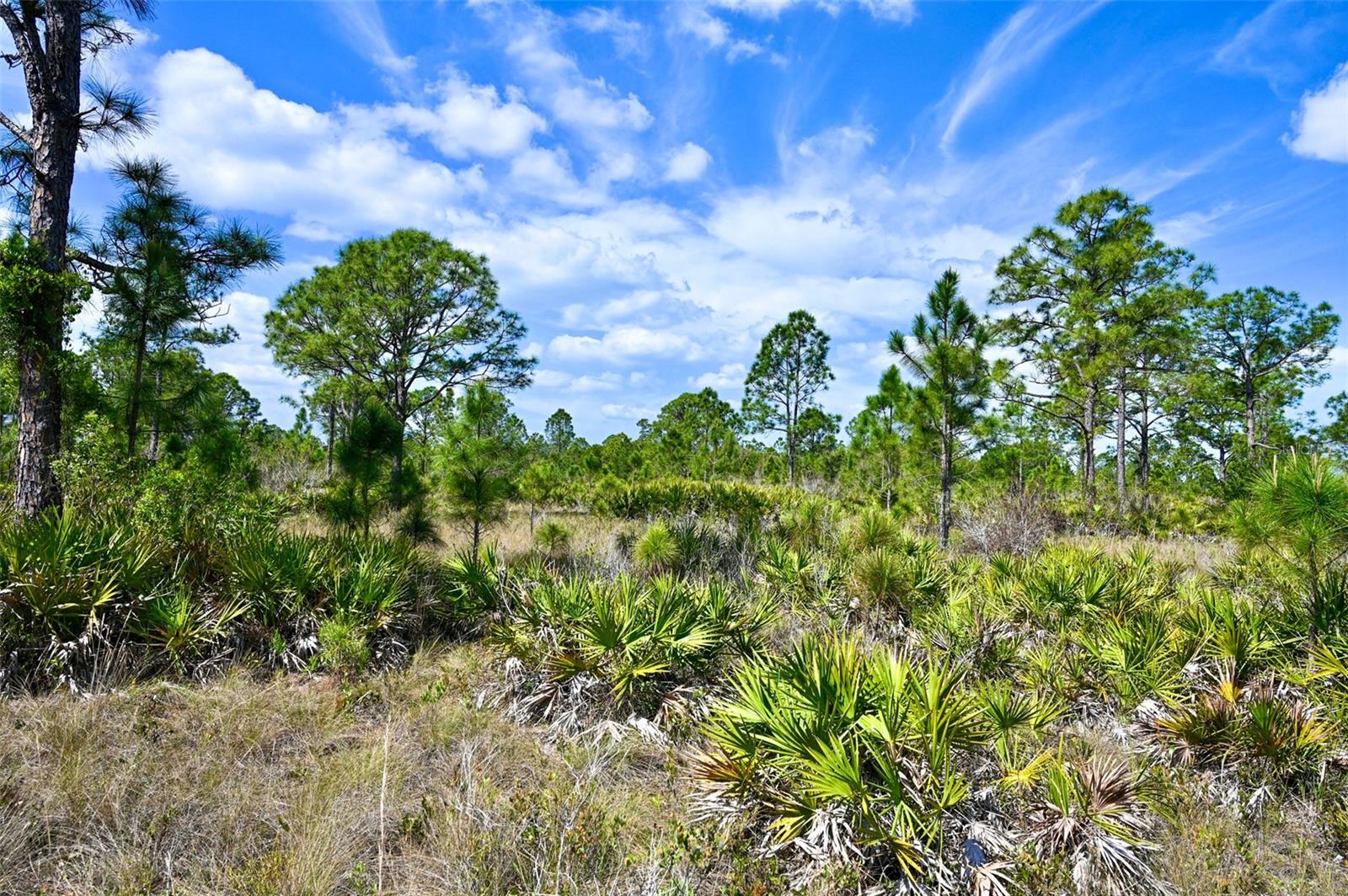 Image 20 of 31 For 47200 Bermont Road