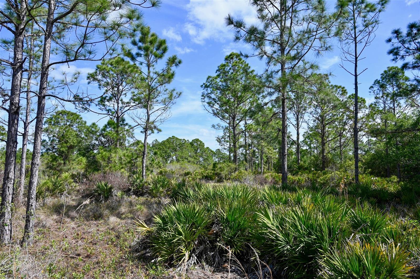 Image 4 of 31 For 47200 Bermont Road