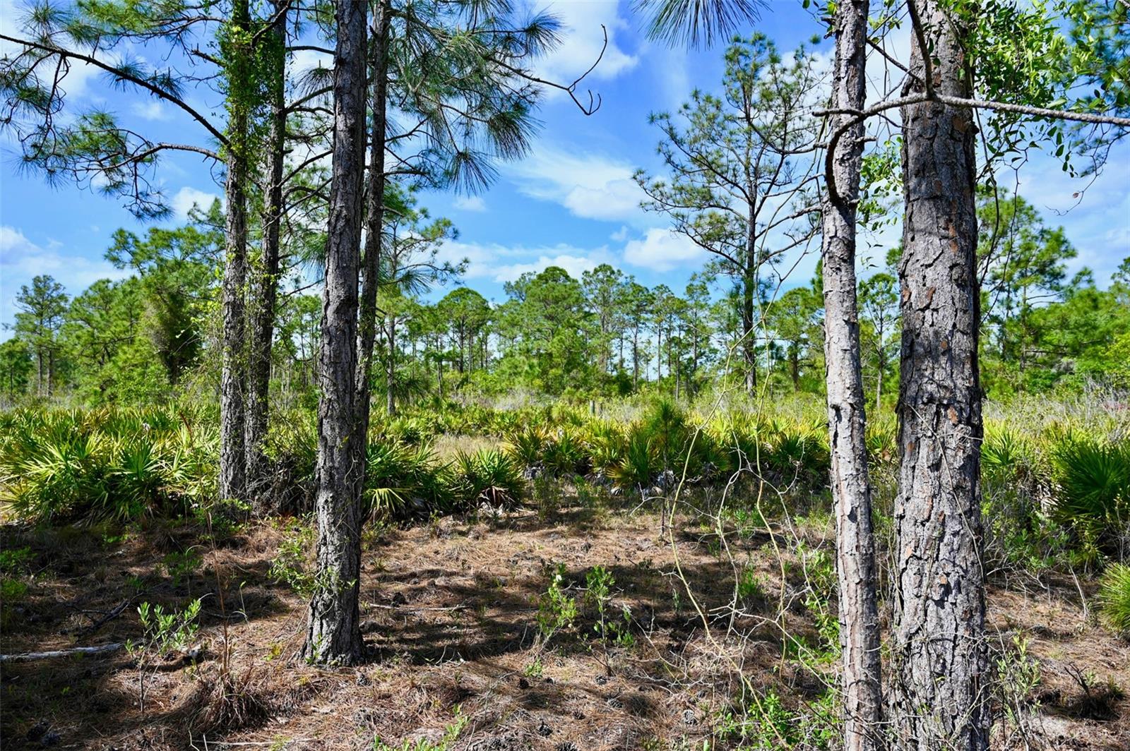 Image 8 of 31 For 47200 Bermont Road