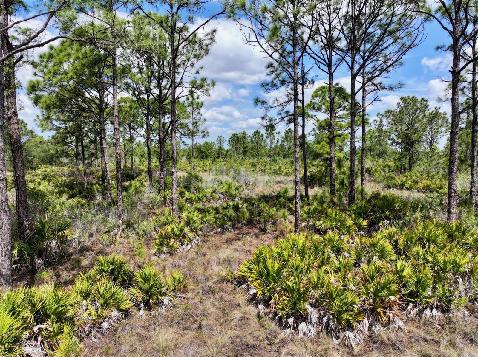 Image 9 of 31 For 47200 Bermont Road