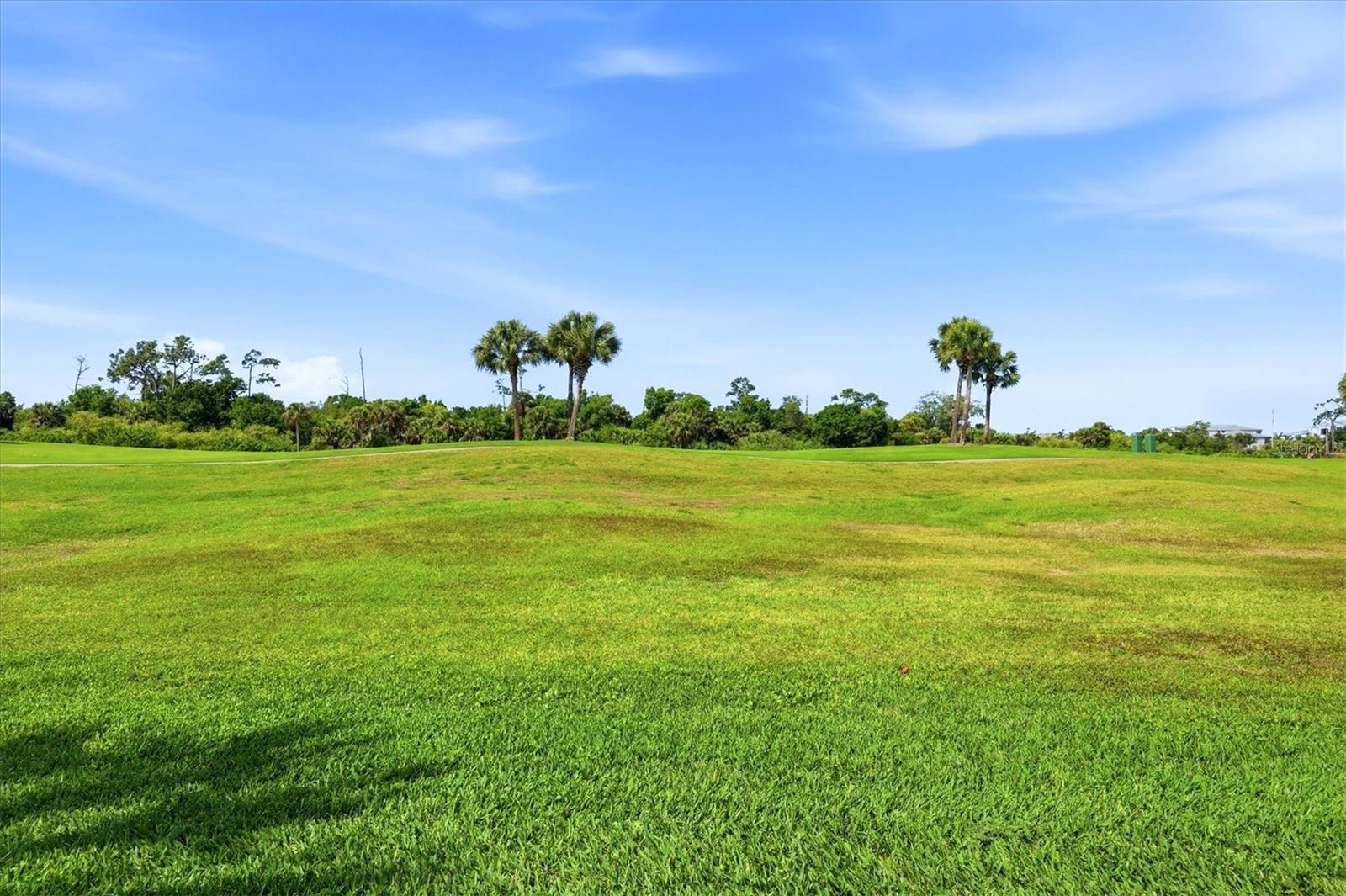 Image 36 of 95 For 14049 Black Beauty Drive 711