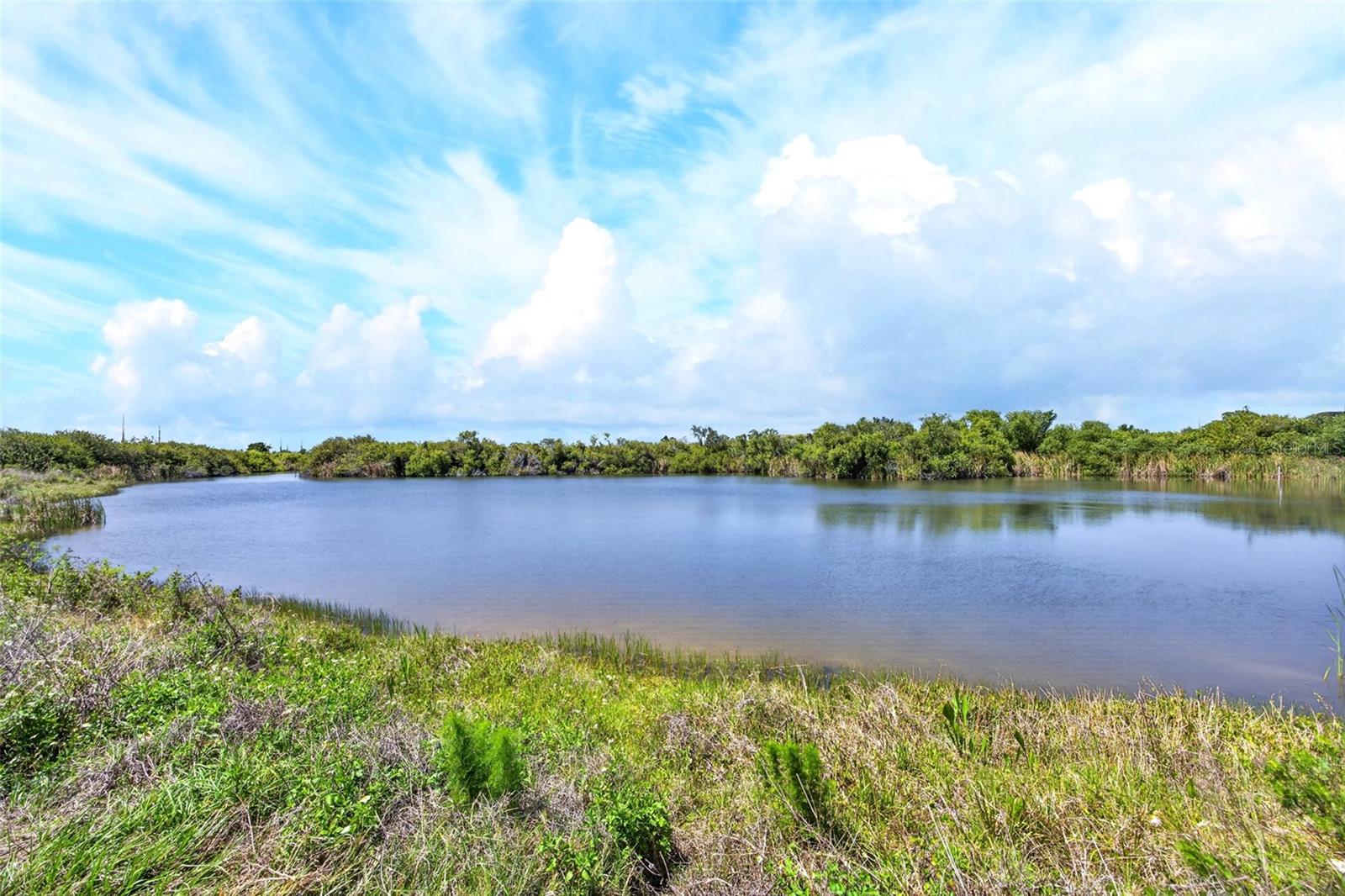 Image 39 of 44 For 175 Kings Highway 516