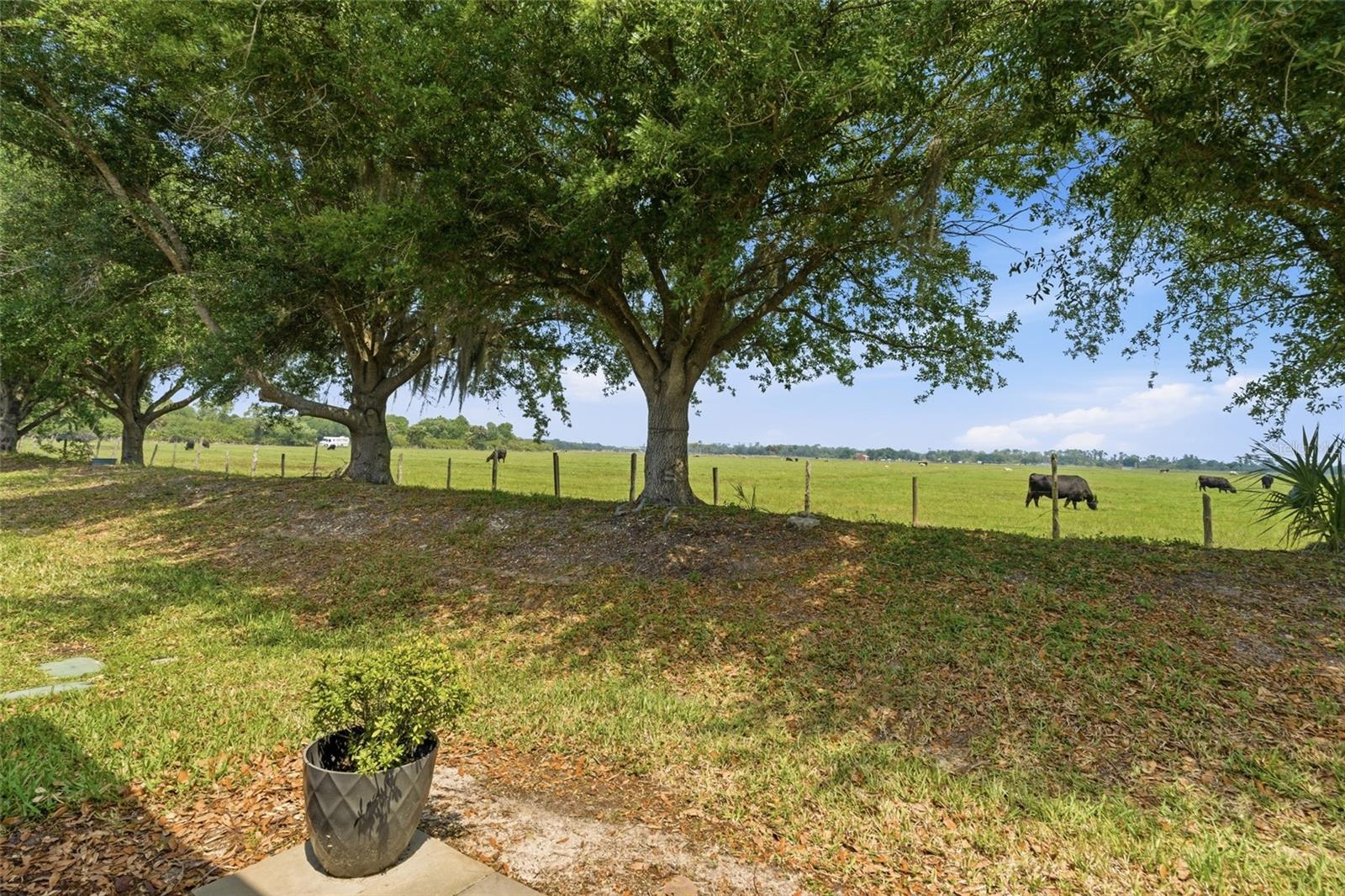 Image 38 of 52 For 8834 Tuscany Isles Drive