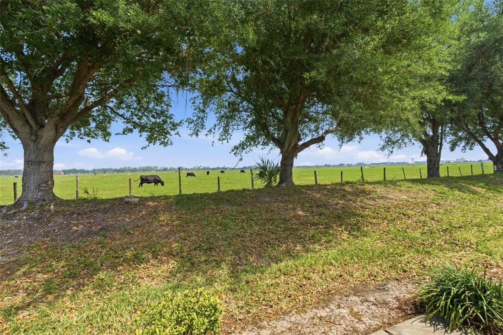 Image 39 of 52 For 8834 Tuscany Isles Drive