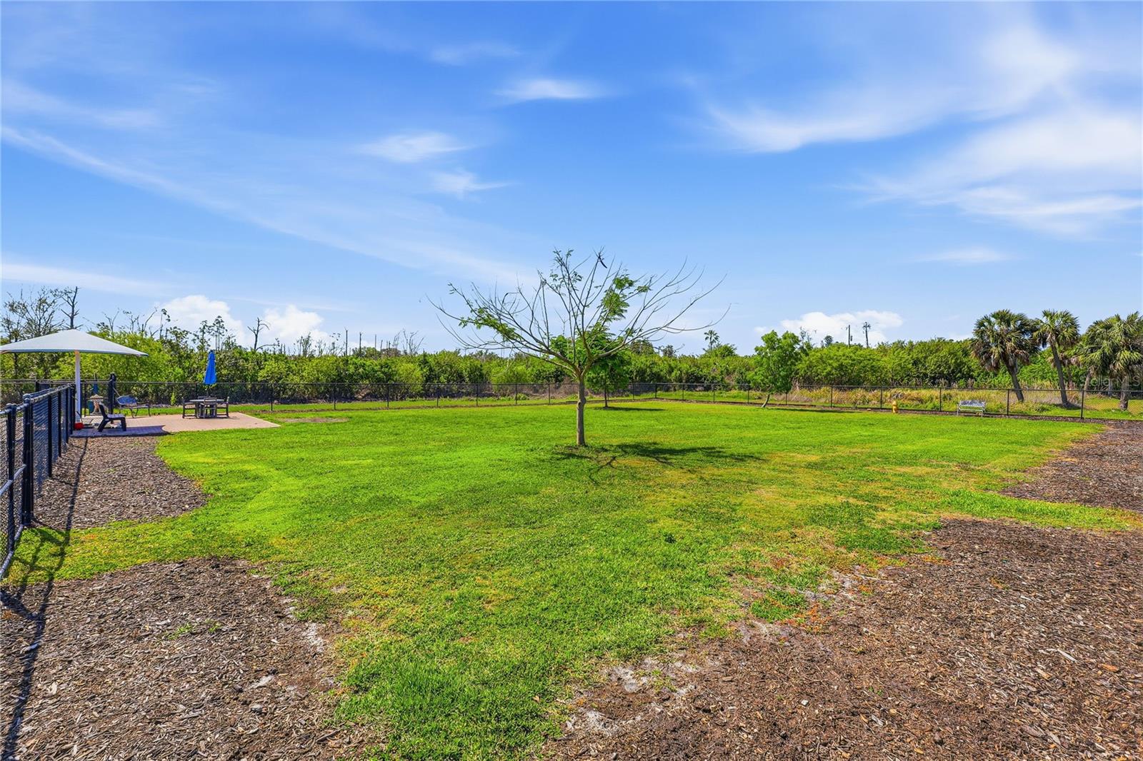 Image 48 of 54 For 3242 Village Lane