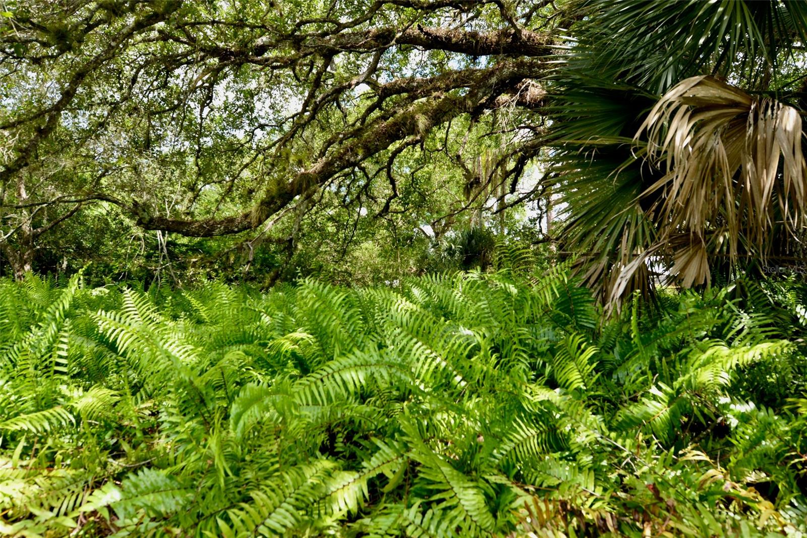 Image 57 of 83 For 18220 Elmwood Drive