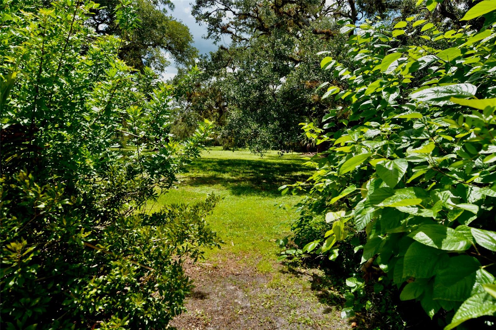 Image 72 of 83 For 18220 Elmwood Drive