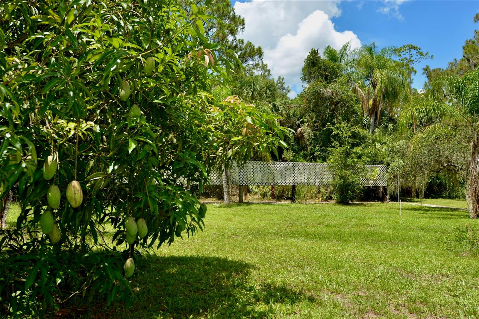 Image 77 of 83 For 18220 Elmwood Drive