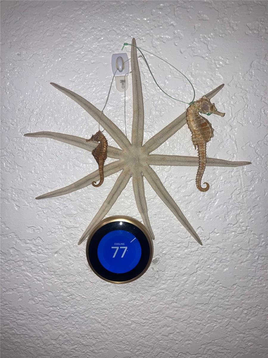 Image 59 of 78 For 232 Darst Avenue