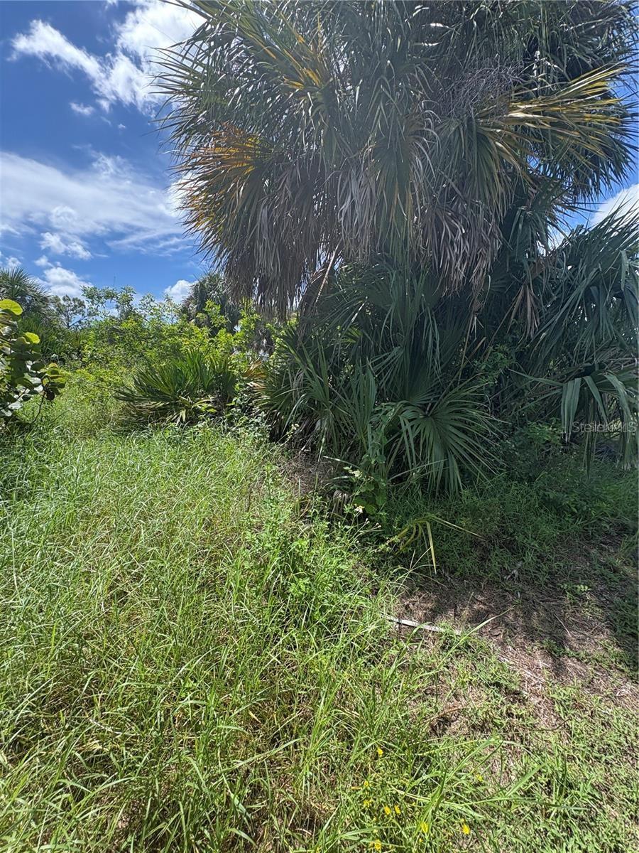 Image 9 of 13 For 16936 Ohara Drive