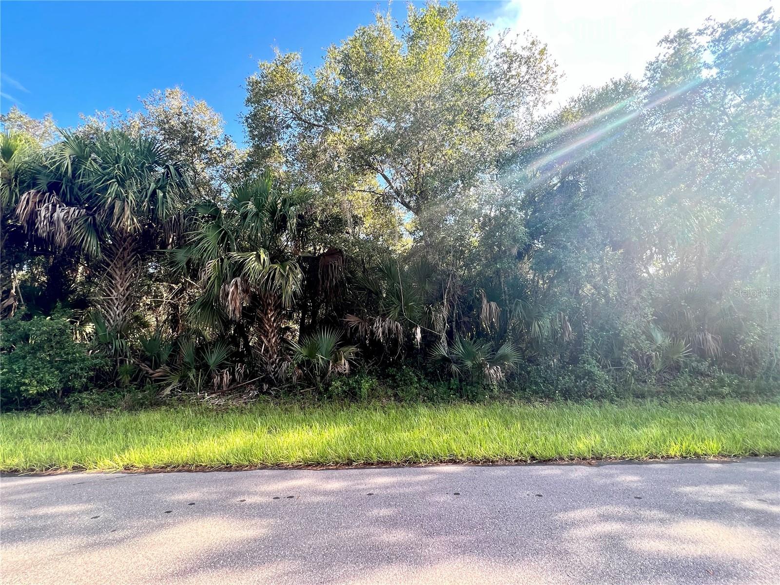 Details for 14463 Black Avenue, PORT CHARLOTTE, FL 33953