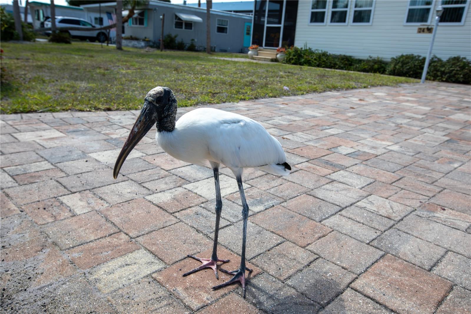 Image 5 of 47 For 2465 Heron Drive