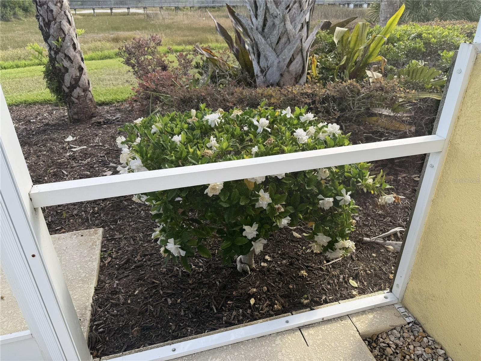 Image 31 of 34 For 6214 Erice Street