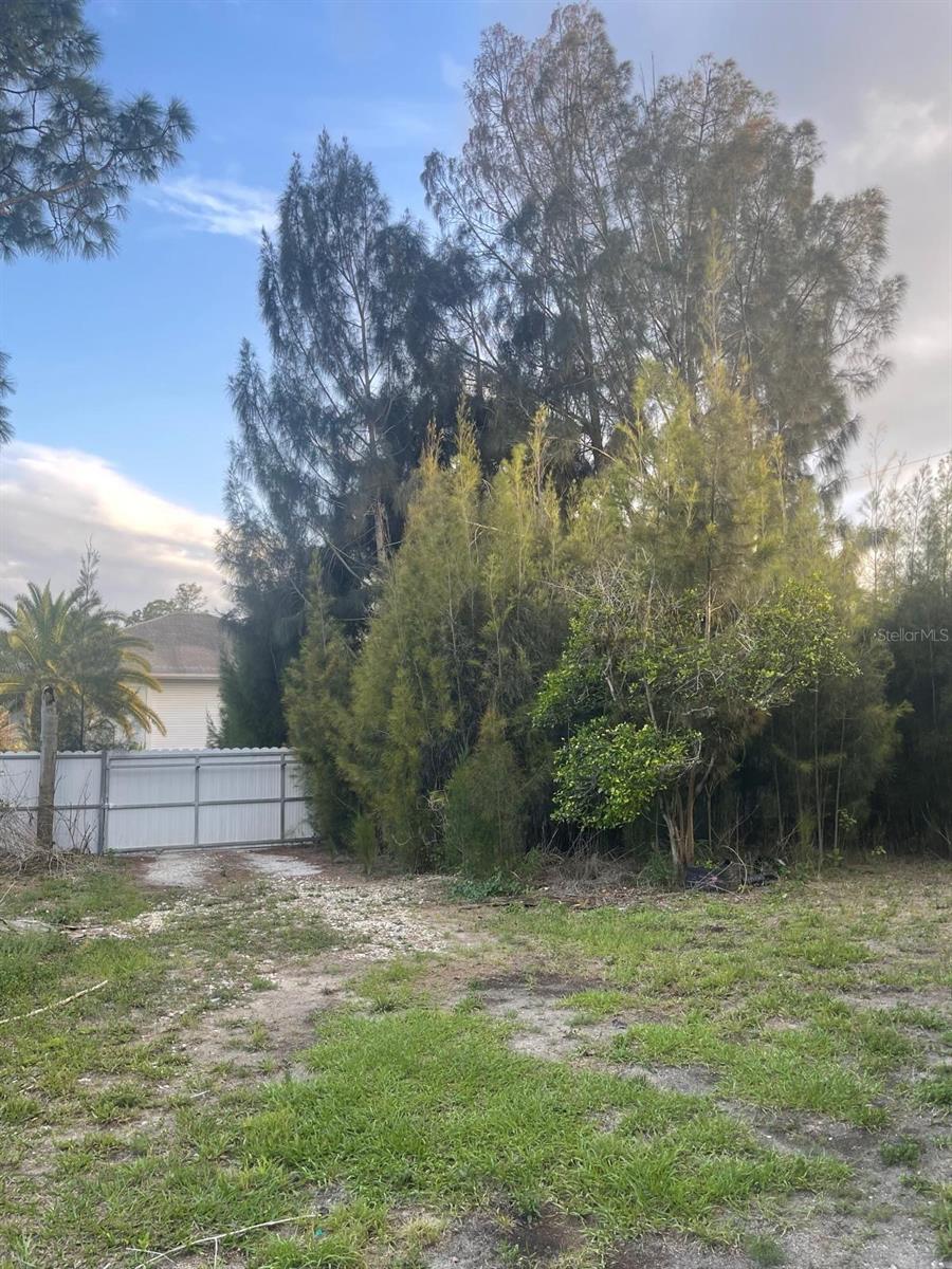 Image 10 of 27 For 901 Sheldon Avenue