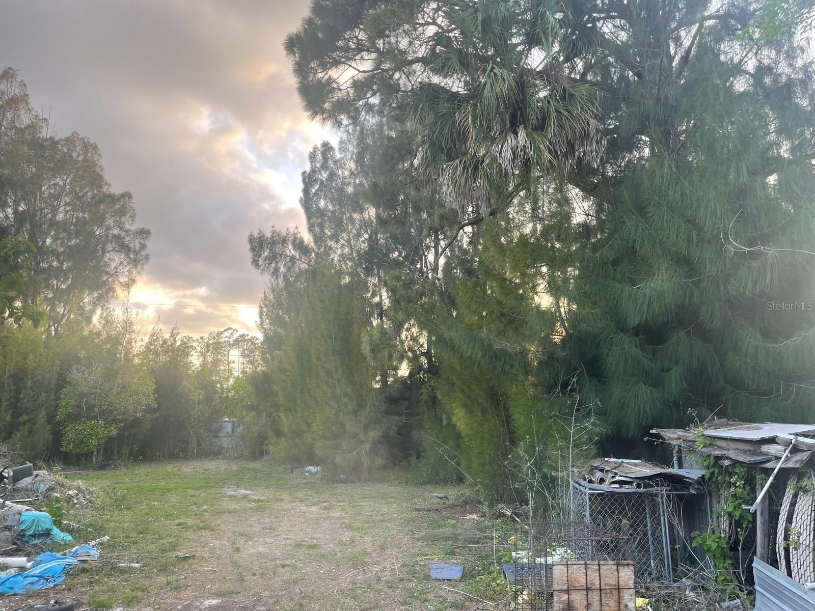 Image 8 of 27 For 901 Sheldon Avenue