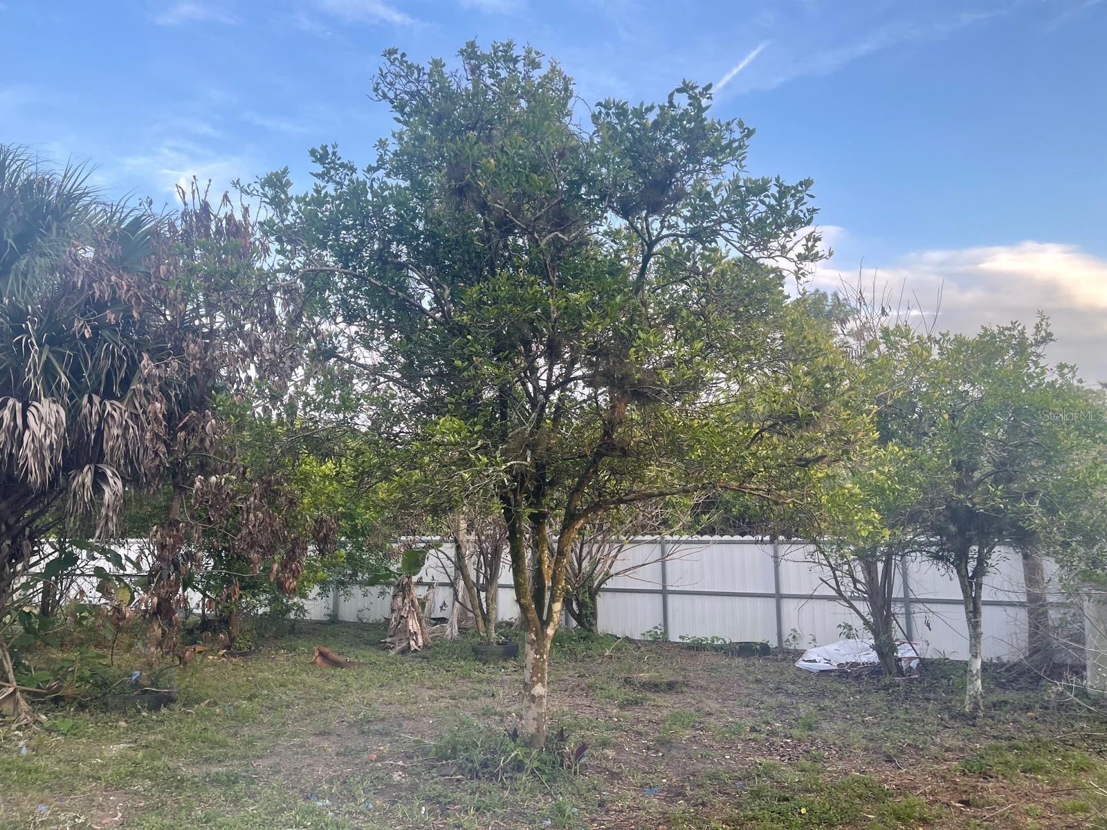 Image 9 of 27 For 901 Sheldon Avenue