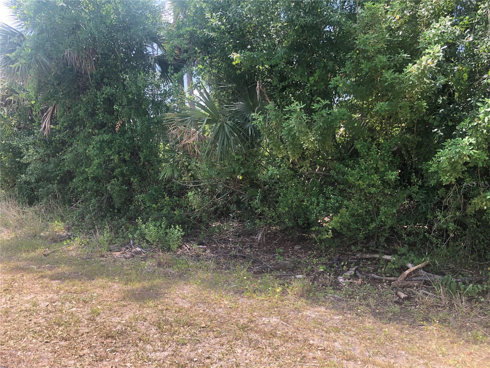 Details for Dandurand Avenue, NORTH PORT, FL 34291
