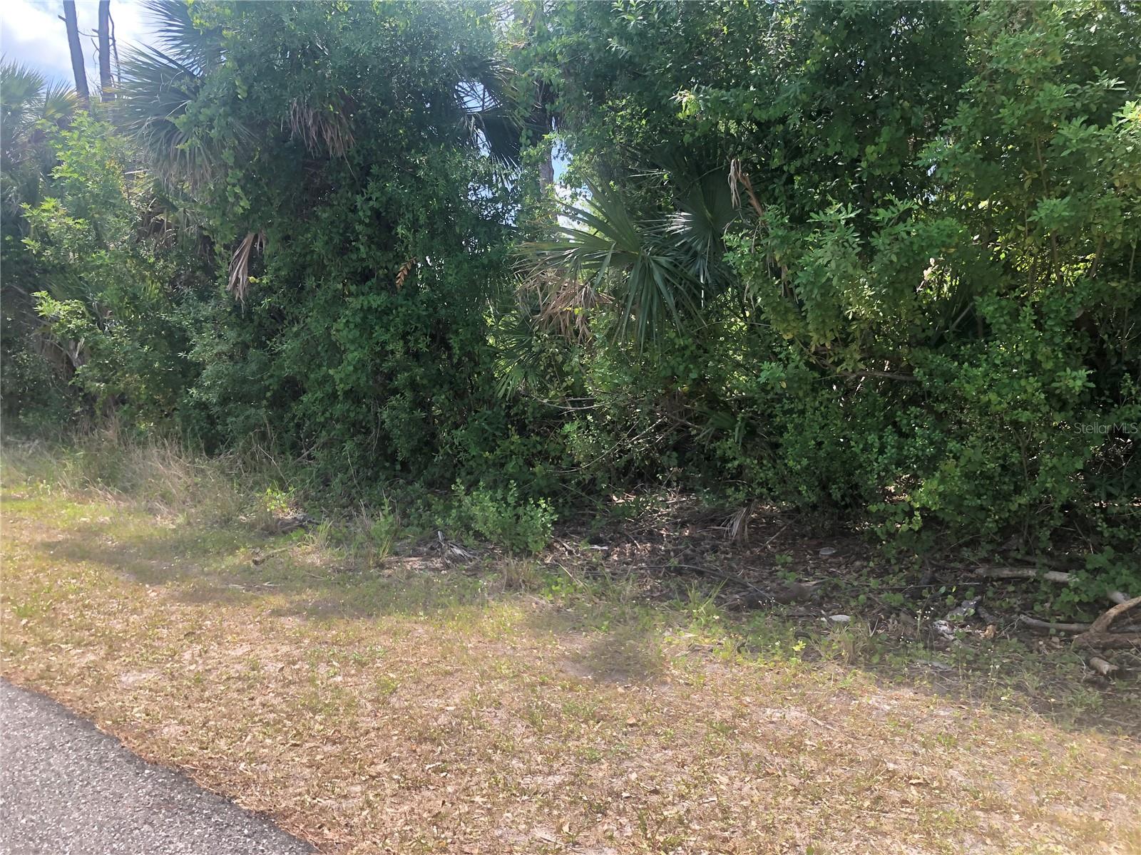 Image 2 of 4 For Dandurand Avenue