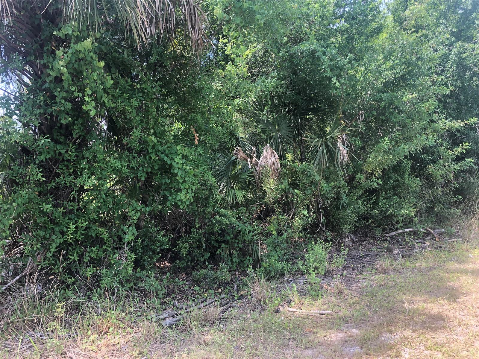 Image 3 of 4 For Dandurand Avenue