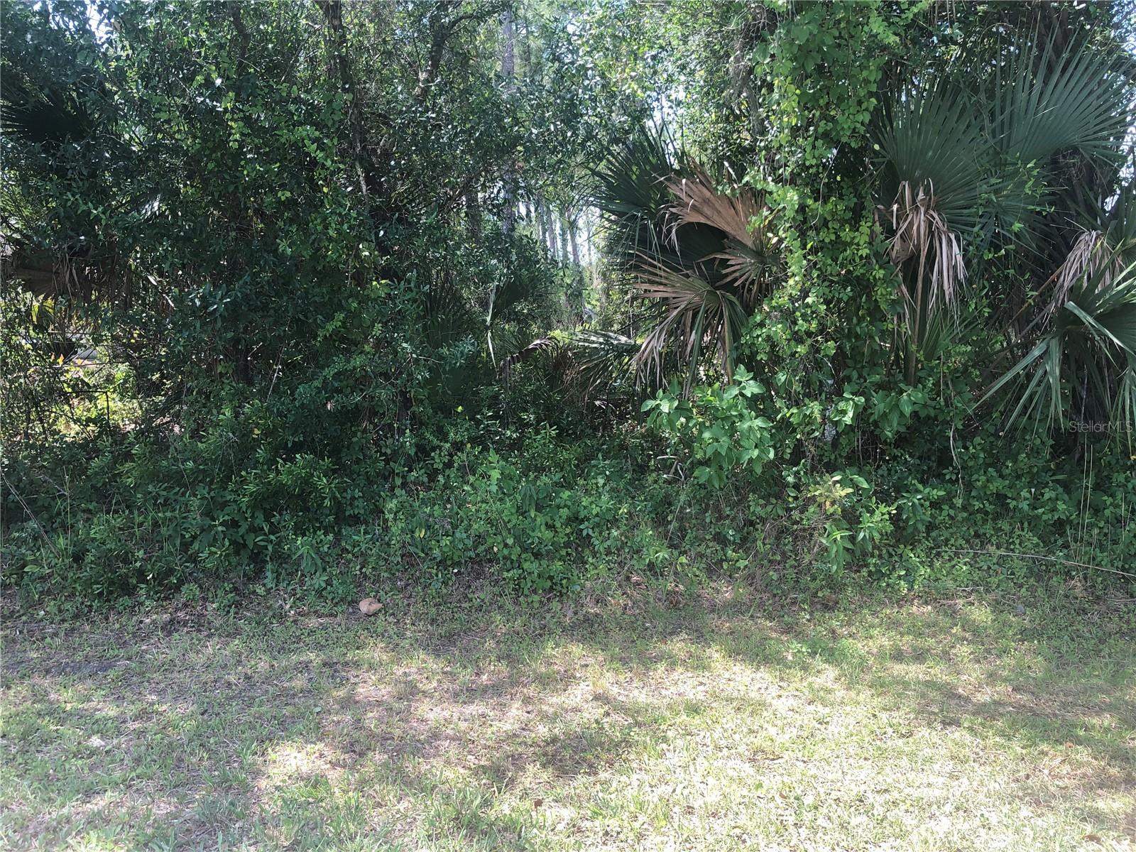 Details for Charland Avenue, NORTH PORT, FL 34291