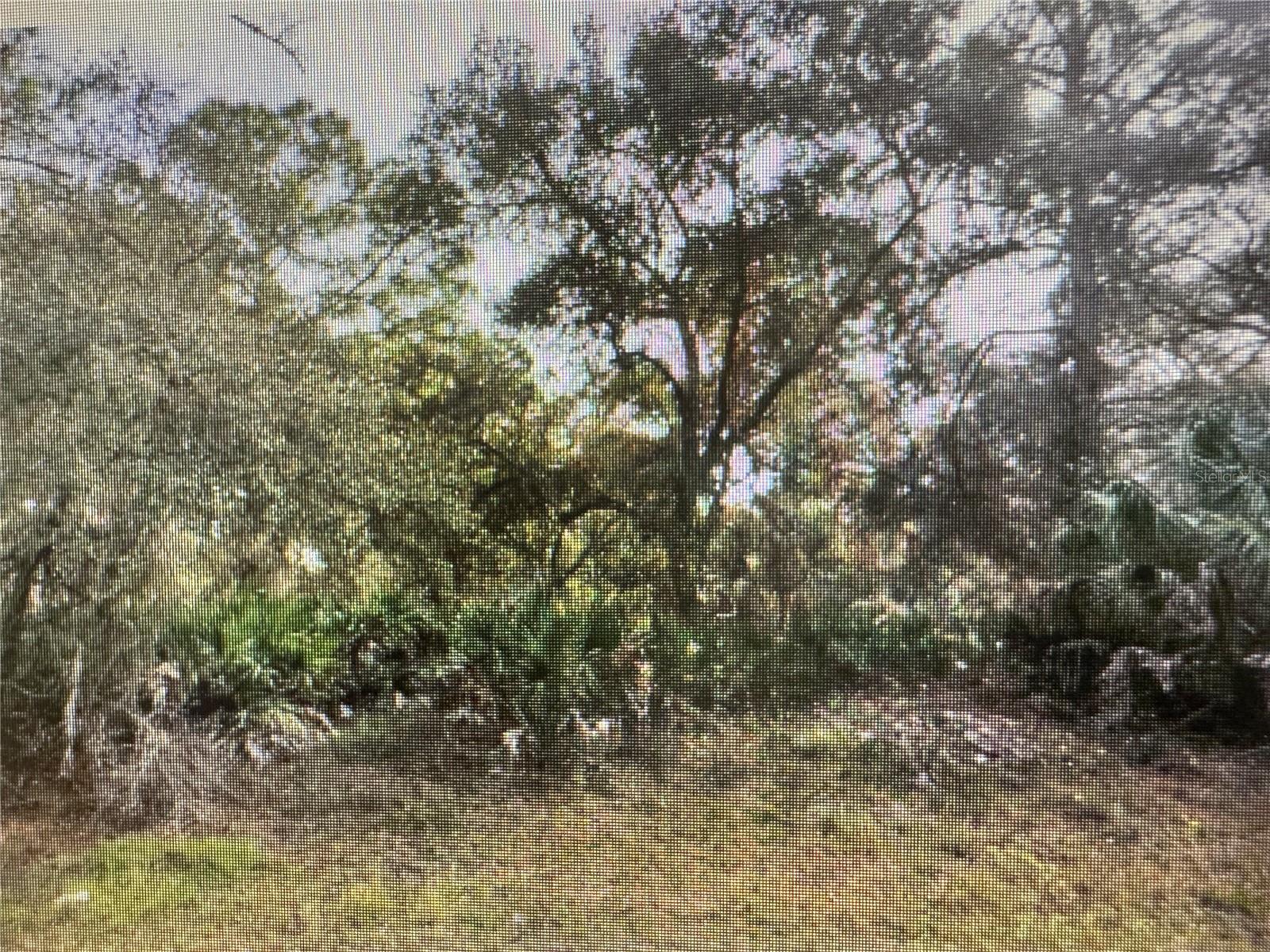 Image 2 of 2 For Trolley Road
