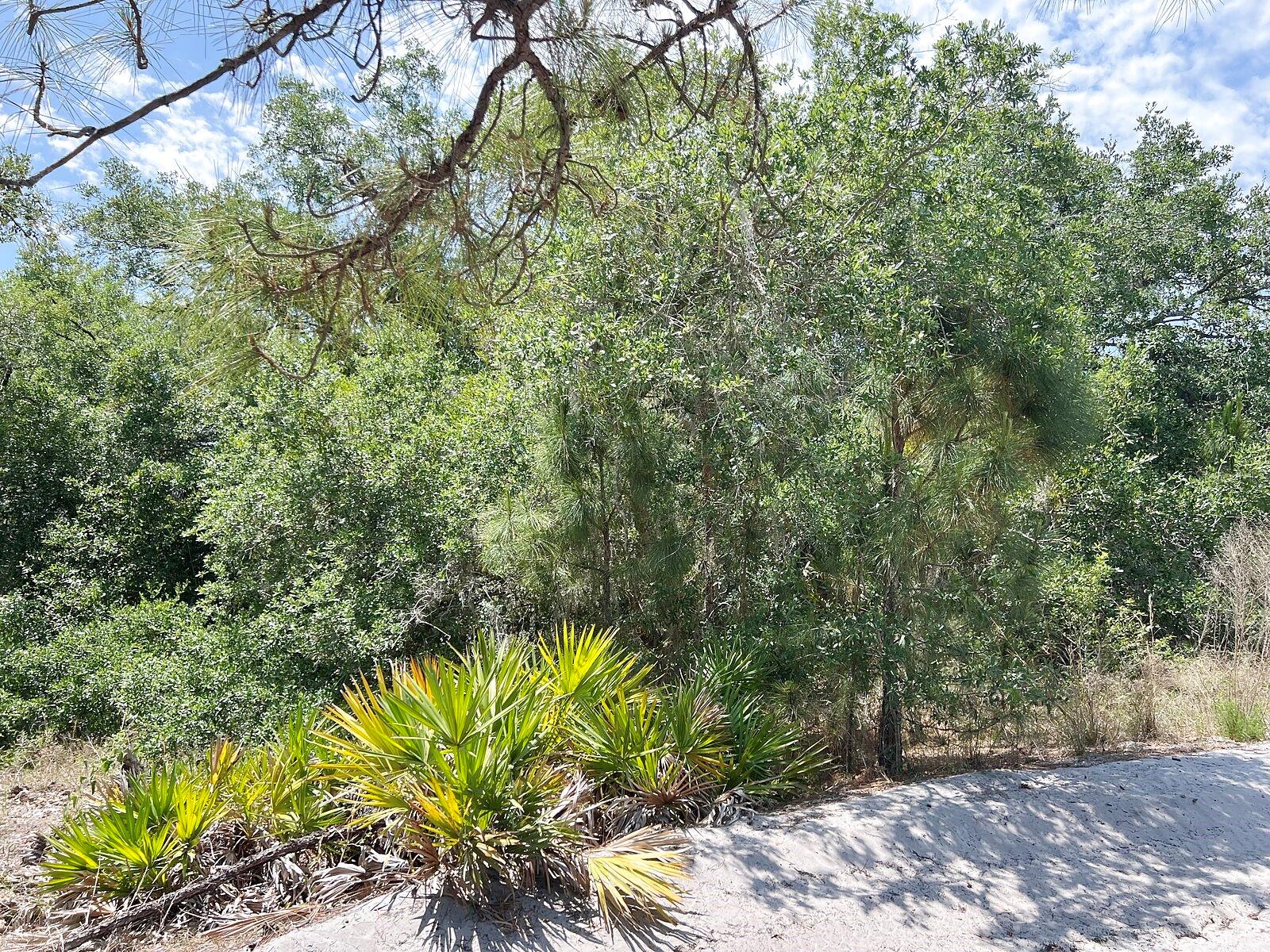 Image 7 of 9 For Lot 25 Hamer Terrace