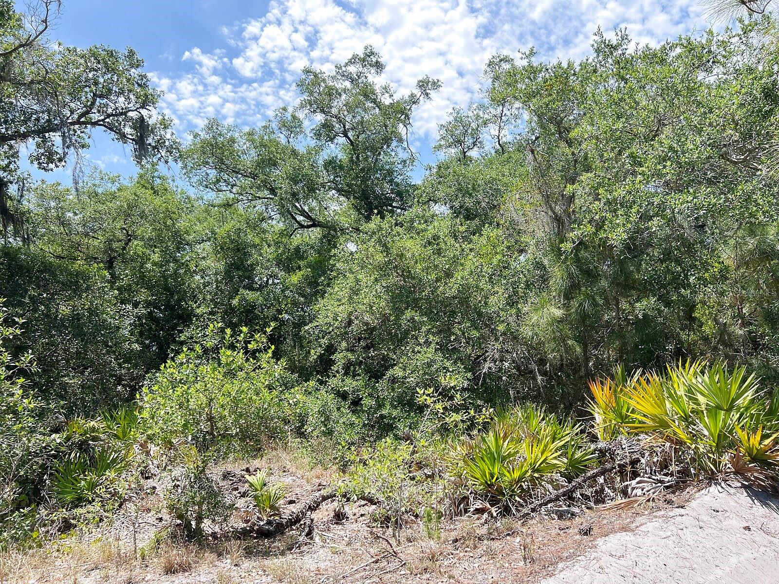 Image 9 of 9 For Lot 25 Hamer Terrace