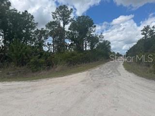 Details for 29459 Clara Drive, PUNTA GORDA, FL 33982