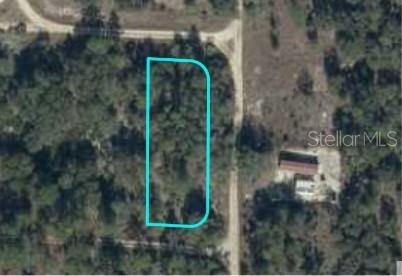 Listing Details for Ne 134th Terrace, BRONSON, FL 32621