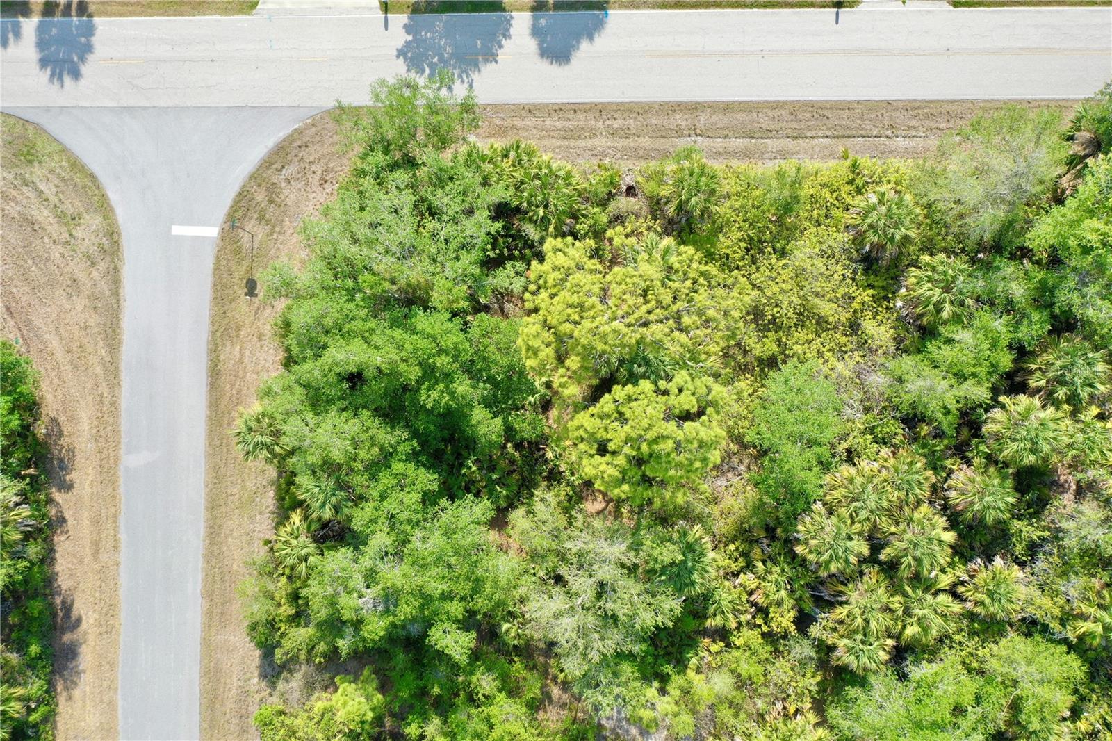 Image 11 of 17 For 12022 Kirtland Avenue