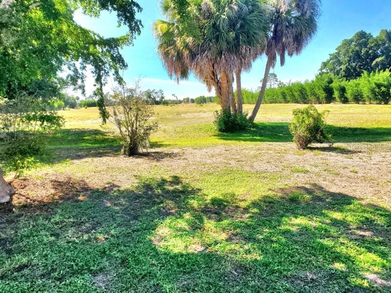 Image 3 of 19 For 2451 Aquilos Court