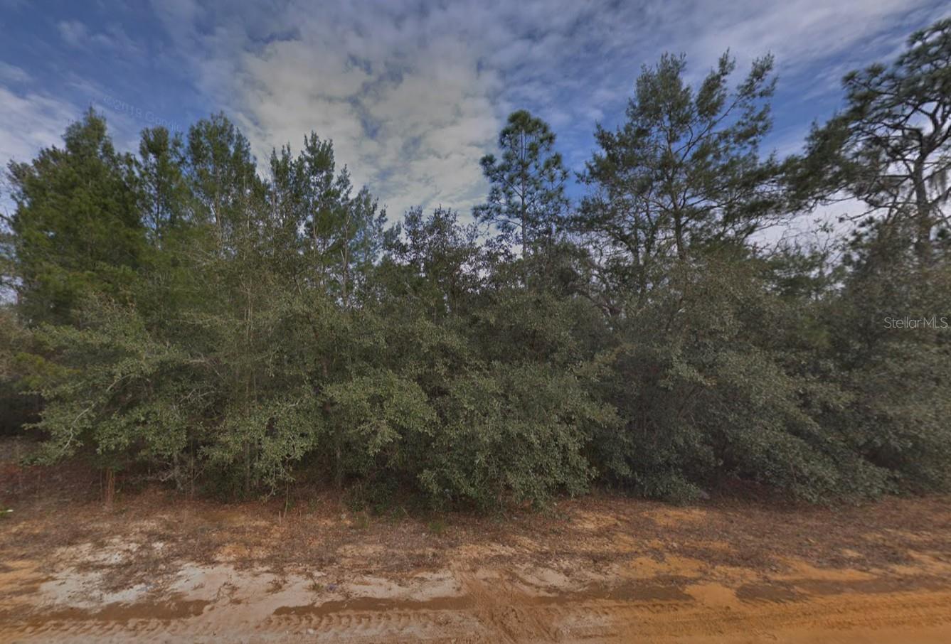Details for Creager Avenue, INTERLACHEN, FL 32148
