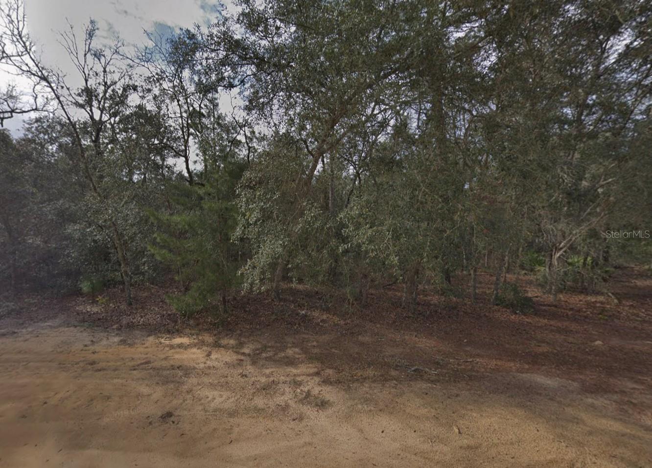 Details for David Avenue, INTERLACHEN, FL 32148