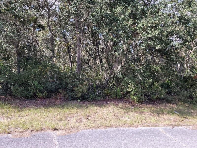 Details for 1244 Caribbean Drive, POINCIANA, FL 34759