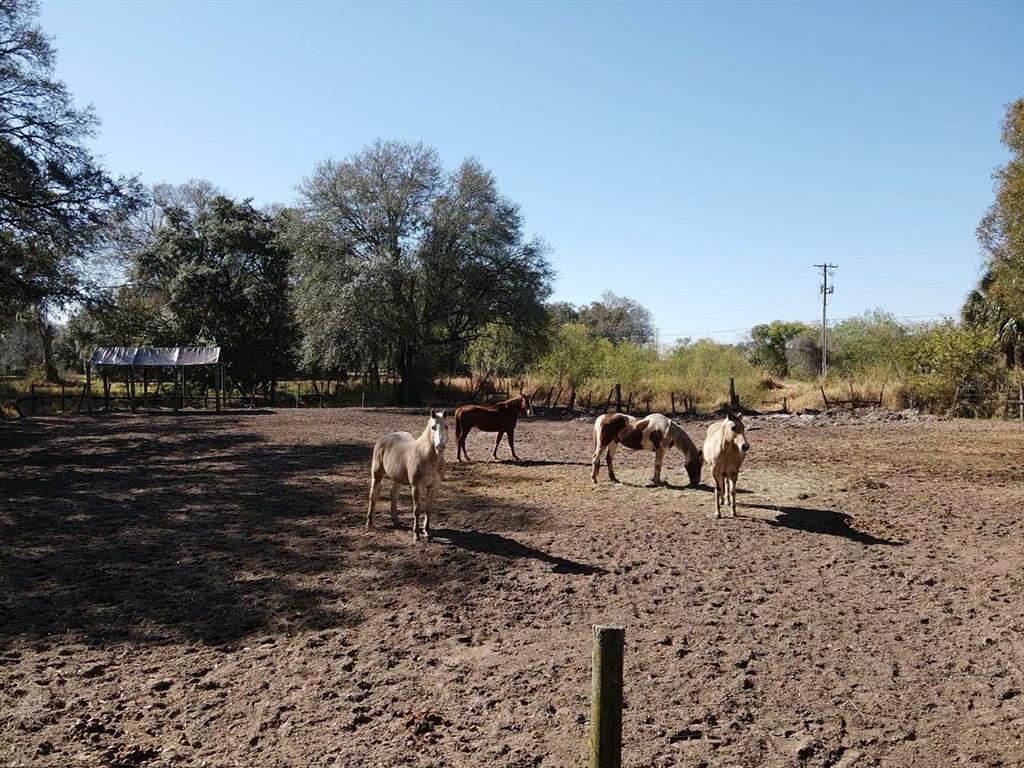 Image 8 of 29 For 5614 Watson Road