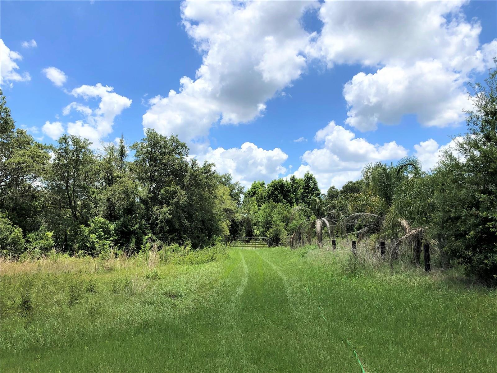 Image 8 of 73 For 7239 County Line Road