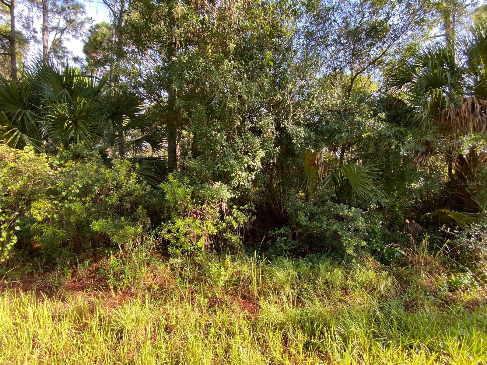Image 2 of 6 For Lot 8 Sultan Avenue