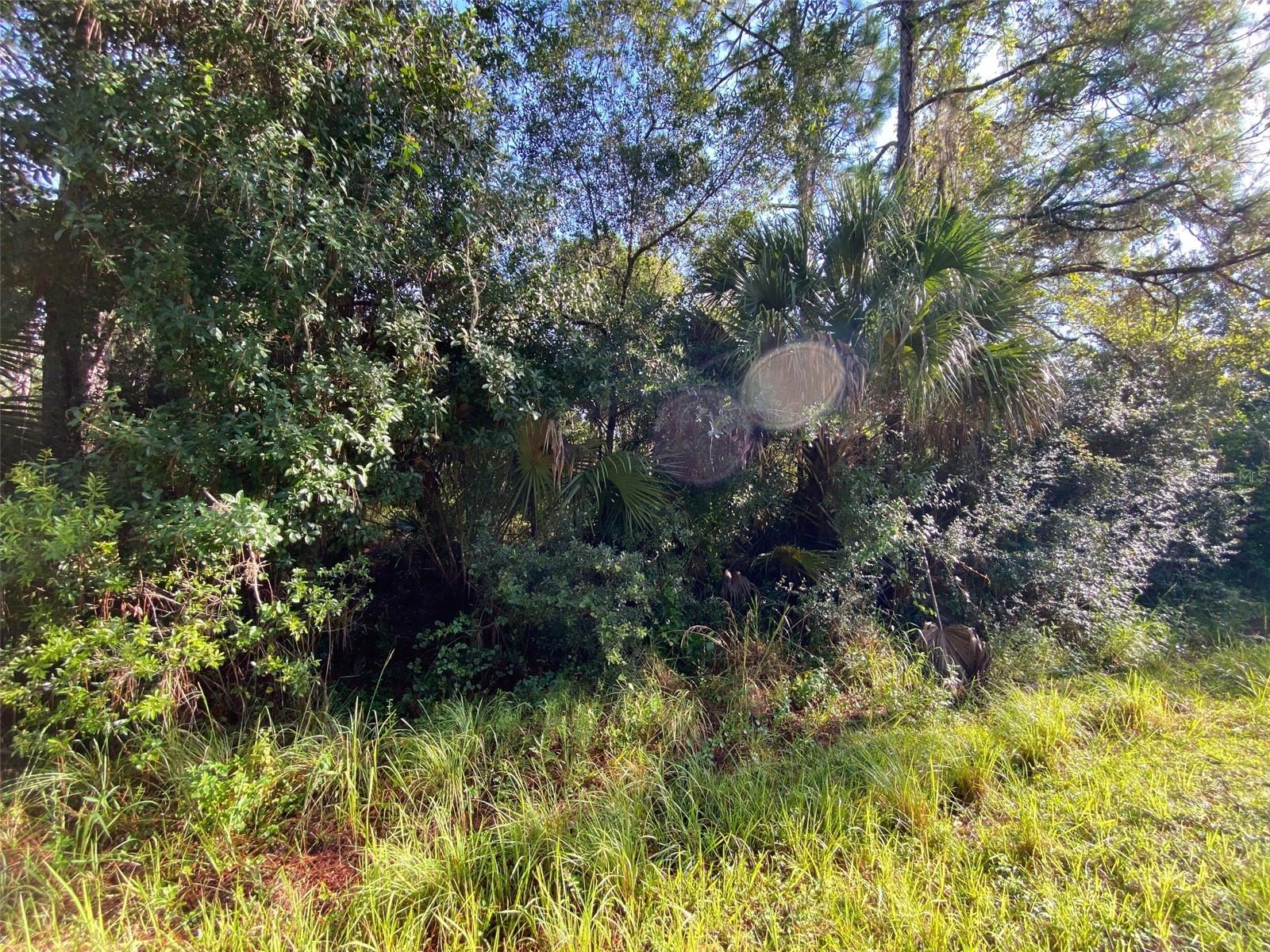 Image 3 of 6 For Lot 8 Sultan Avenue