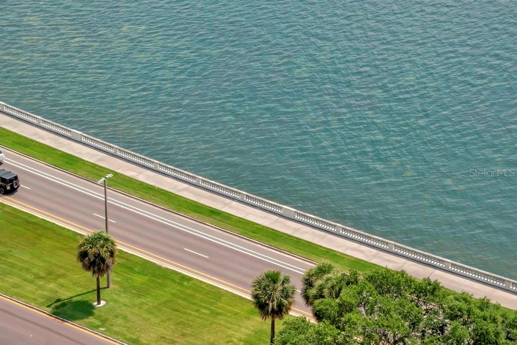 Image 50 of 76 For 3401 Bayshore Boulevard 2102