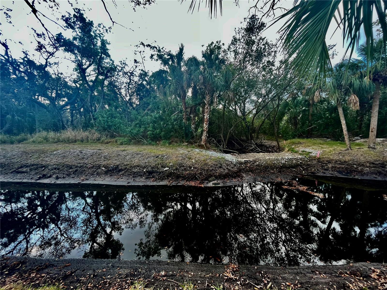 Listing photo id 2 for S Tarpon