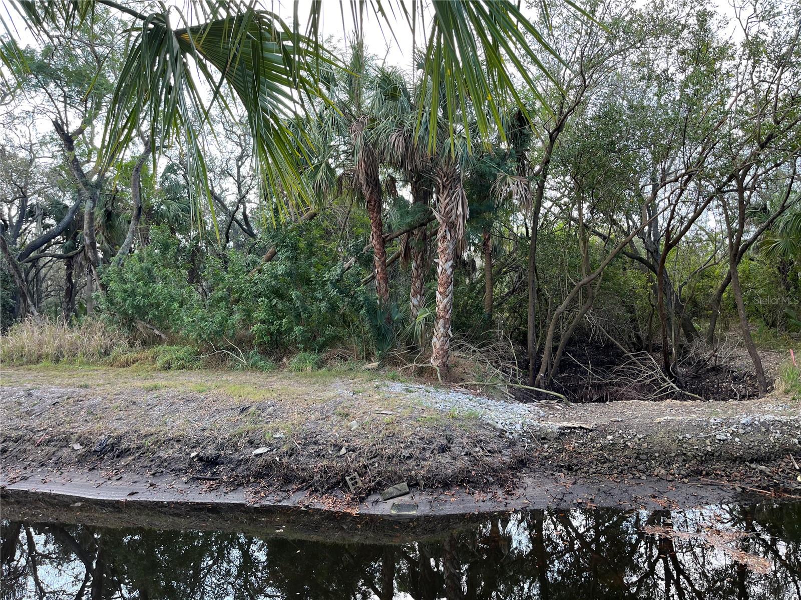 Listing photo id 3 for S Tarpon