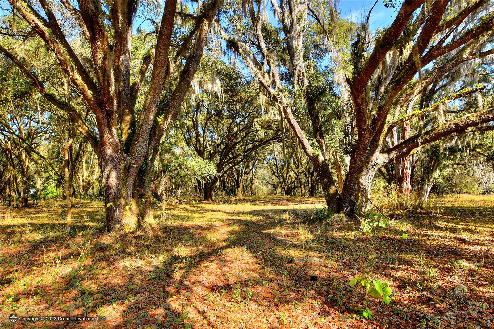 Image 14 of 19 For 8609 Back Road