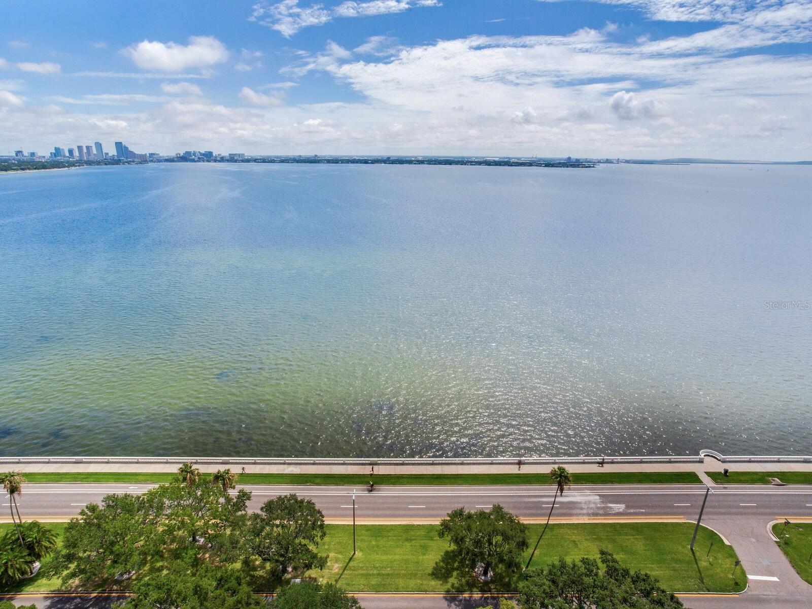 Listing photo id 59 for 3507 Bayshore Boulevard 2001